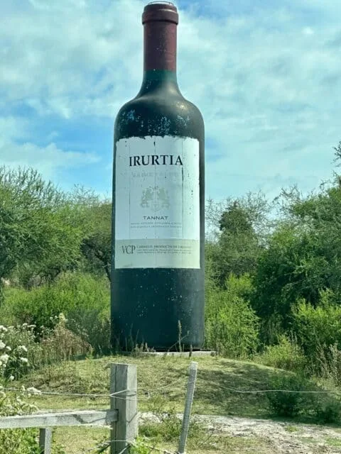 A giant bottle of Tannat wine.