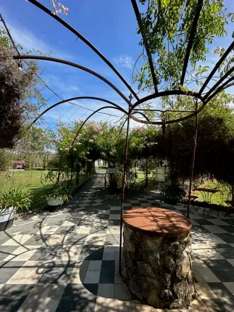 Wrought iron decorative garden with black and white tiles and vines growing on the iron.