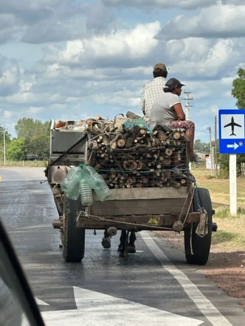 Horse-drawn cart pulling wood and other supplies for Asado grilling which is the traditional way of cooking meat here.