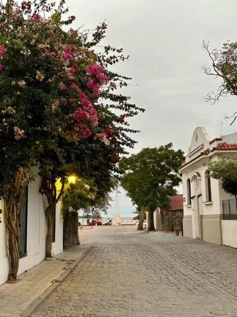 Cobbled street with pink bougainvillea shrubs on the left and the road leads to a river. The buildings are from the 1800s and are protected by UNESCO.