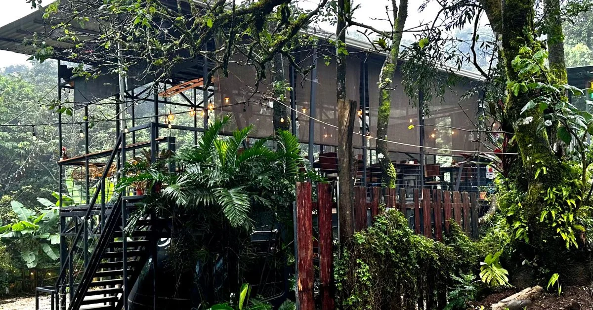 The Jungle Bar and Restaurant set within a forested area of Santa Elena town.