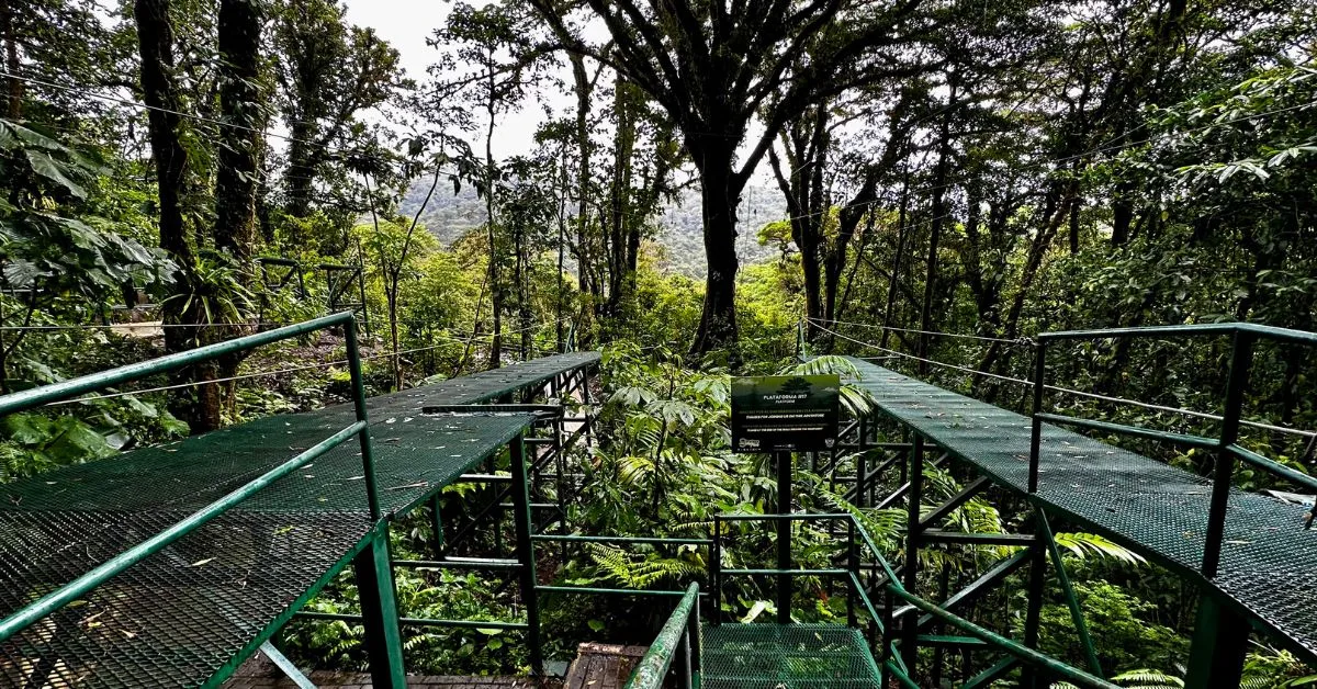 Zip line platforms in Monteverde Selvatura Park