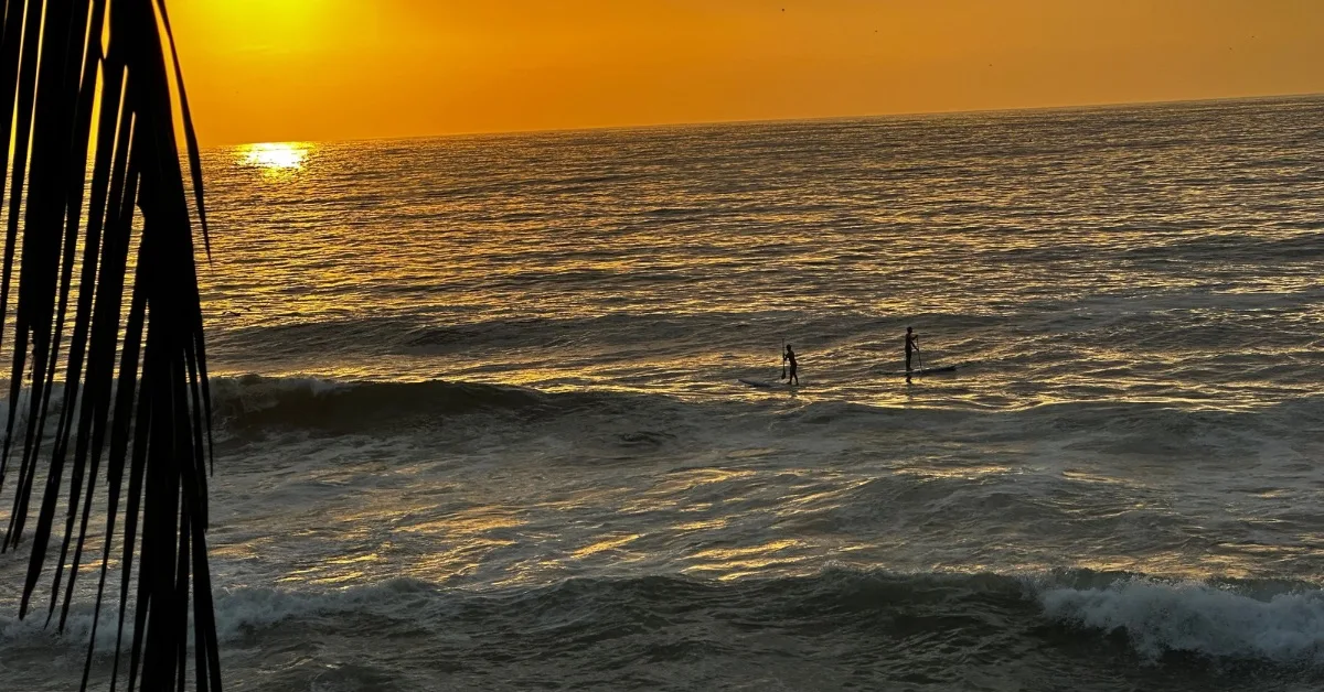 Sun setting on the water while 2 people surfing towards the shore.