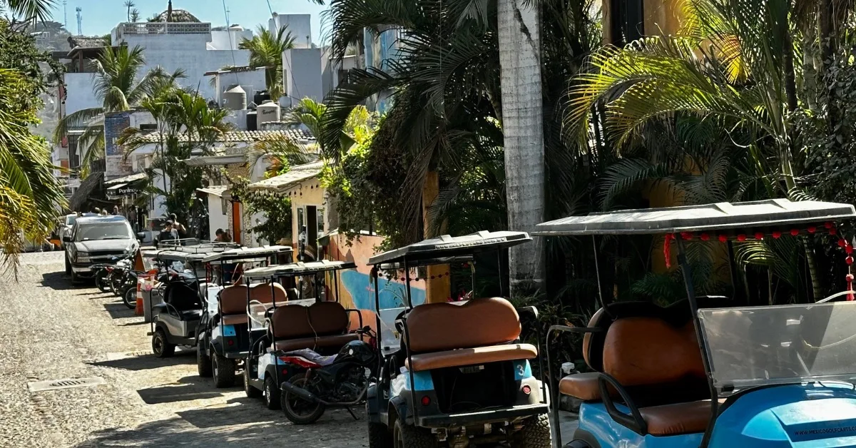 Golf carts parked up on a side street.