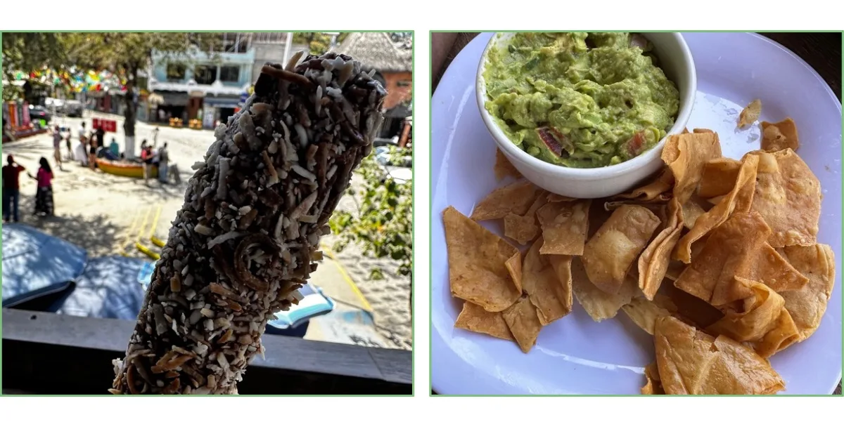 Frozen chocolate banana and guacamole with chips.