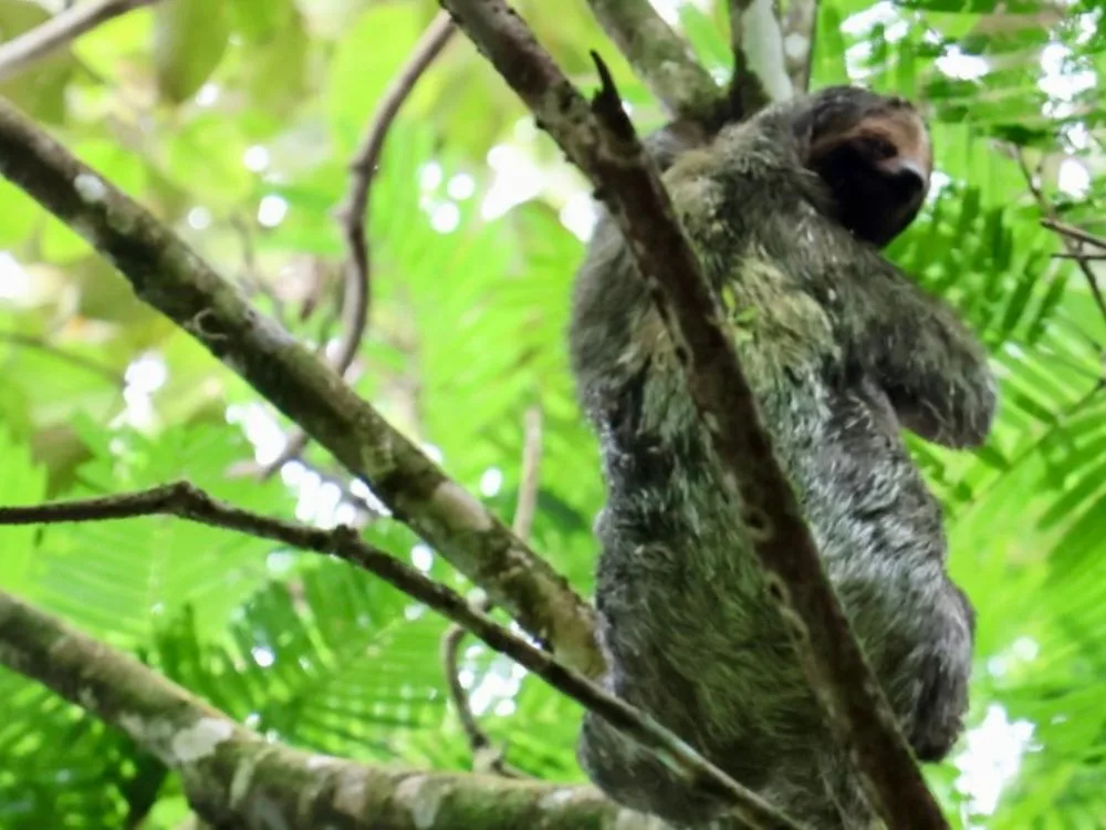 3 Days In La Fortuna Costa Rica Itinerary