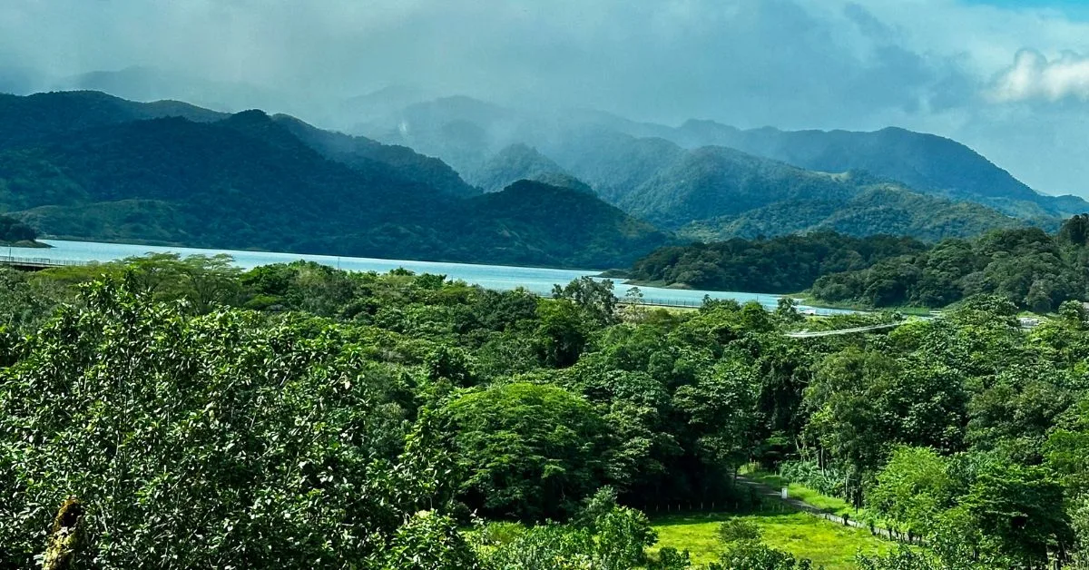 Foreground show rainforest with lake and mountains behind