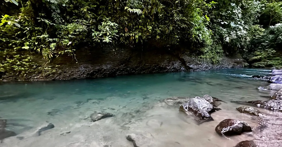 Pool of shallow water with rocks and trees either side