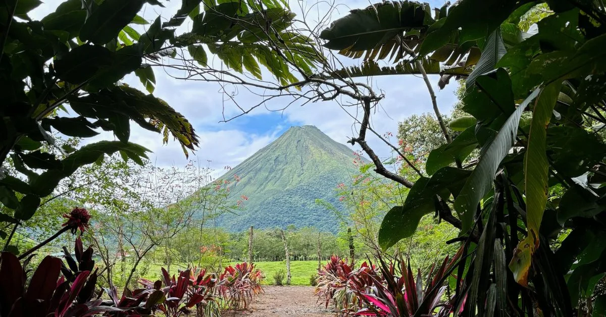 View of Arenal Volcano in the background with shrubbery and a pathway in the front of the image