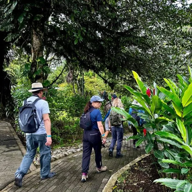 Group of people walk along a trail in a nature reserve