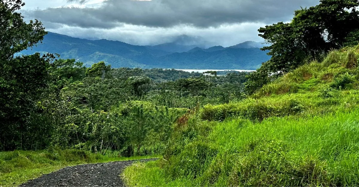 Off road trail in Mistico Park with trees either side. Lake Arenal and mountains in the distance.