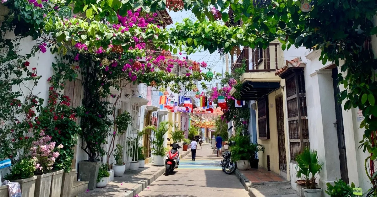 A pedestrian street with people walking through a canopy of bougainvillea plants joining the two sides together. Flags and umbrellas also hang above the street.