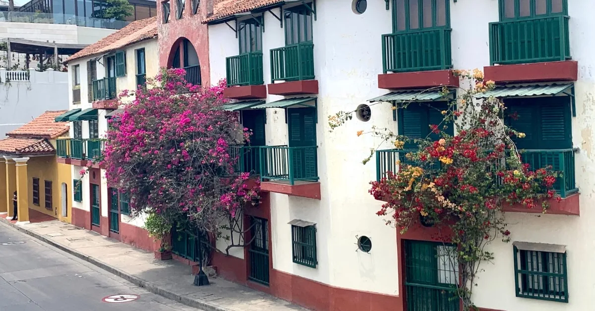 Traditional homes with green iron window covers and bougainvillea plants decorating the whitewashed exterior.