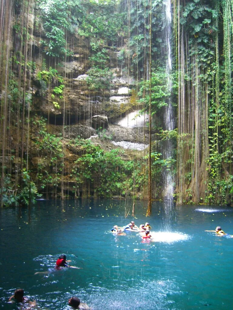 A ceynote pool with thick jungle around it.