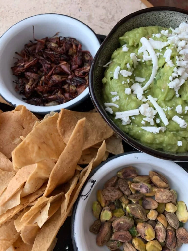 Appetizers in Mexico including nuts, tortillas and guacamole.