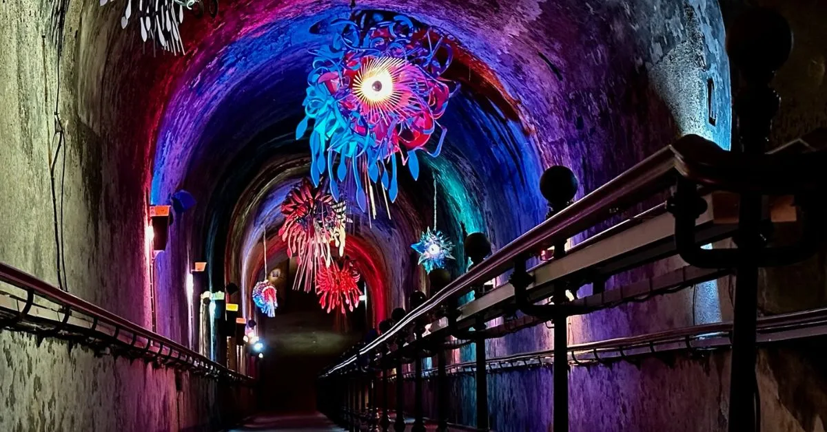 Cave Entrance with multi coloured lighting at a champagne house in Reims.