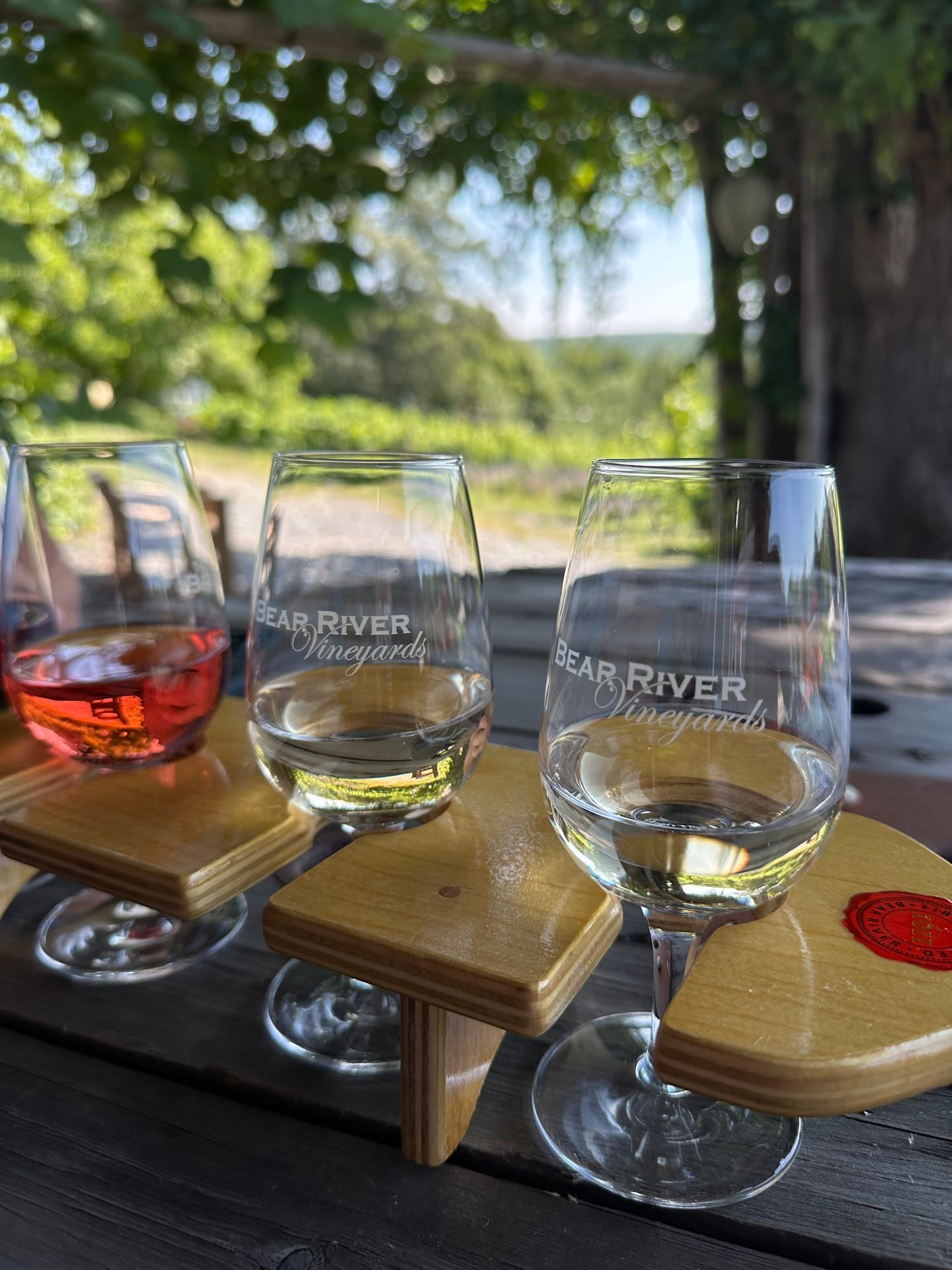 Wine flight at Bear River Vineyards, Nova Scotia