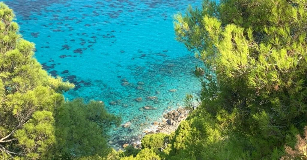 Looking down from the road onto turquoise blue water and pebbly beach with pine trees on the side of the hill