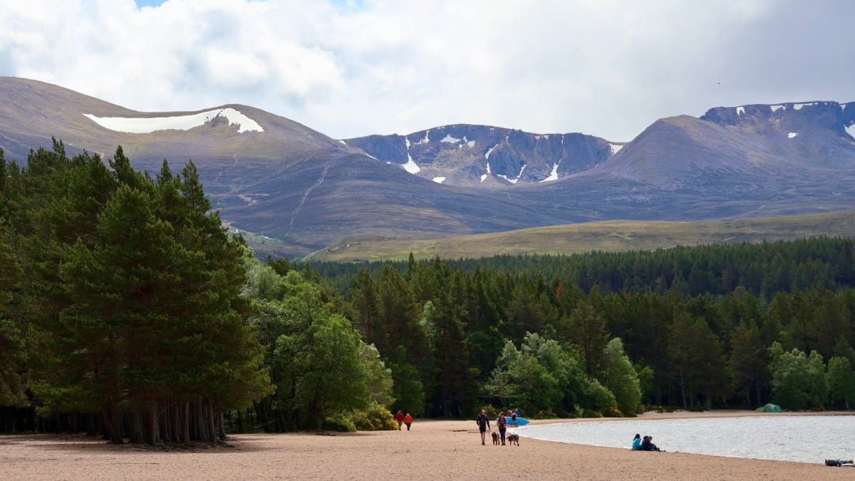 Loch Morlich's stunning sandy beach within Glenmore Forest Park, Cairngorms