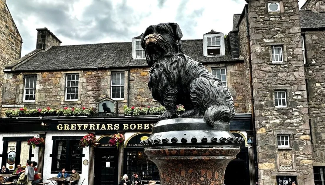 Bobby is Edinburgh's famous dog and as you walk around the old town you can read about the story of his devotion to his owner. Another cheap thing to do in Edinburgh.