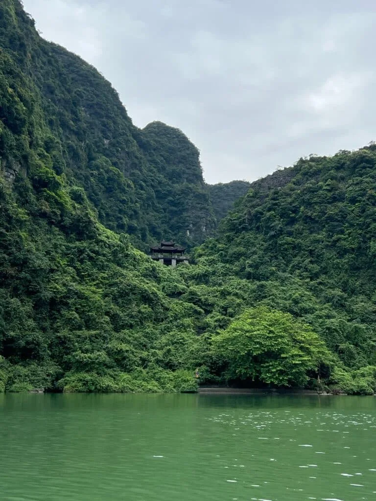 Vietnam forest with thick green foliage and small template