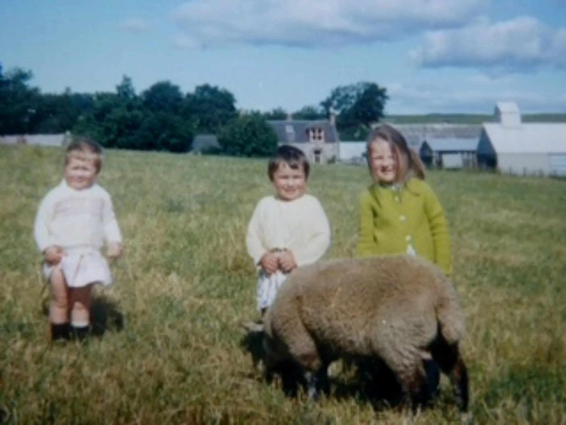 Children on a farm with sheep