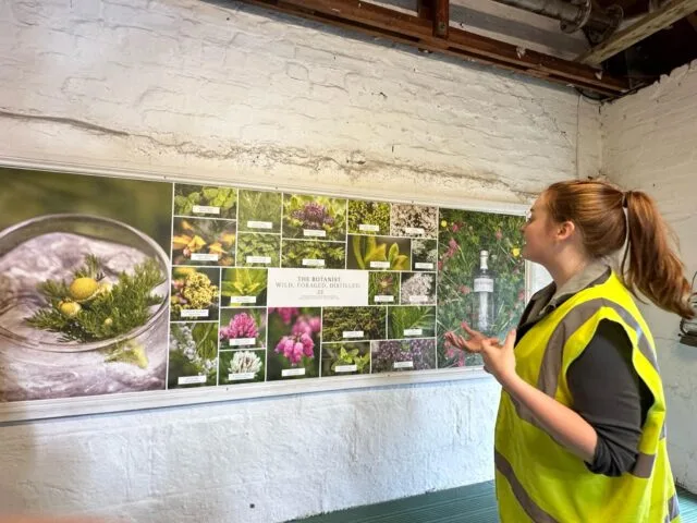 Islay Scotland Guide to Botanicals in Gin