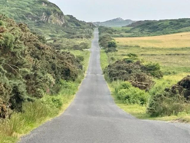 Small single track paved road on Colonsay Scotland with wild hedges at both sides.
