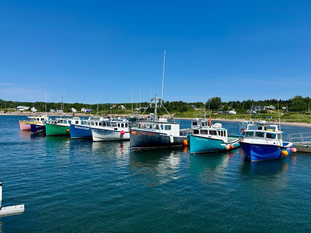 Colourful fishing boats moored in the harbour at Neil's Harbour, Cape Breton