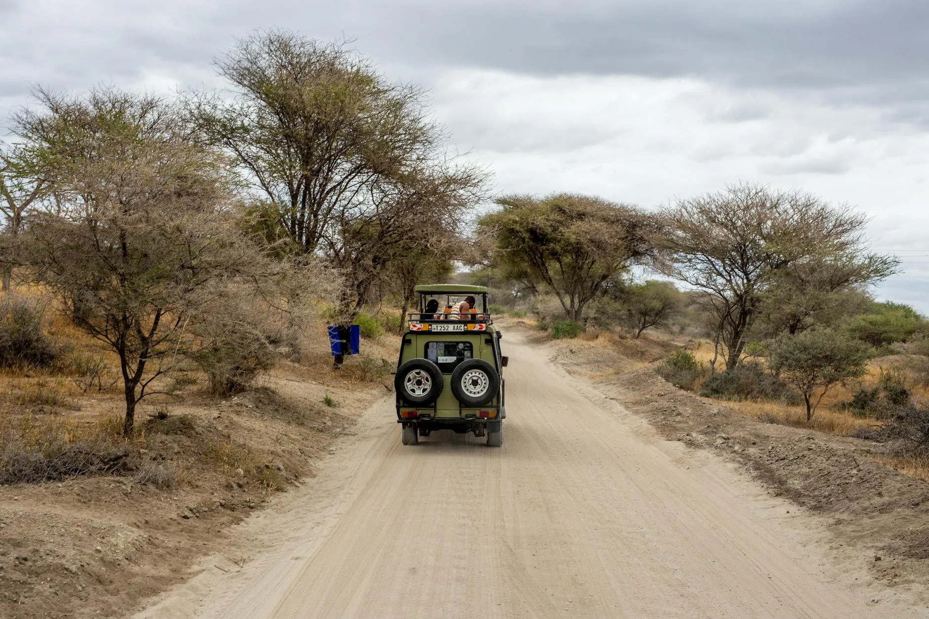 African savanna landscape