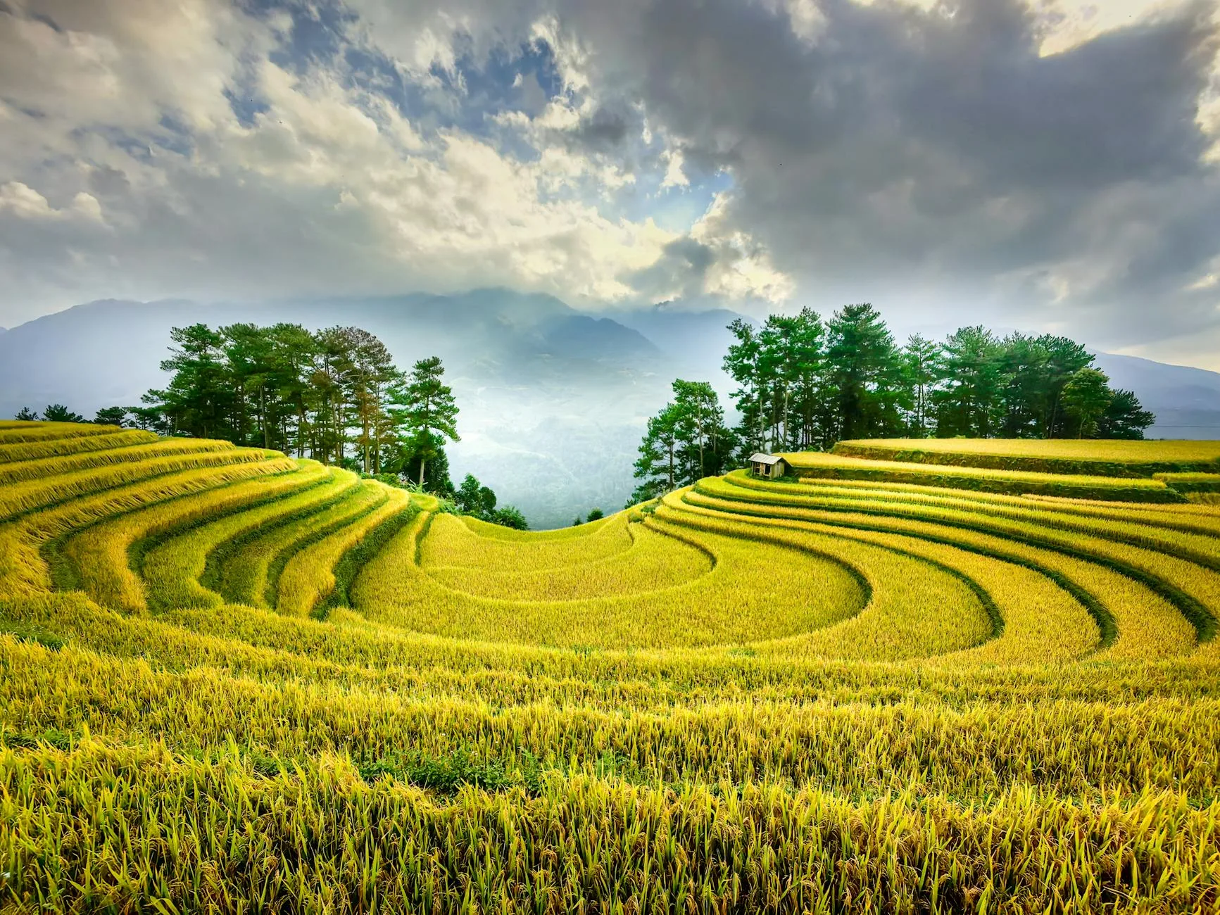 Indonesia