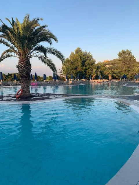 A swimming pool fringed with palm tree.