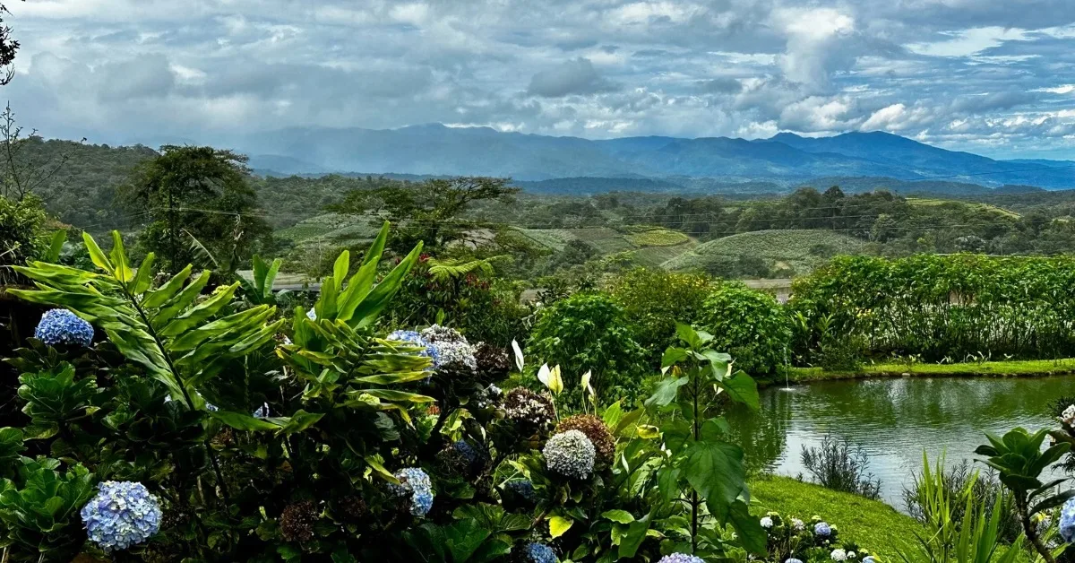 View over a pond and gardens to the mountains of Central Valley Costa Rica. Hydrangeas and ferns and lily plants surround the pond.