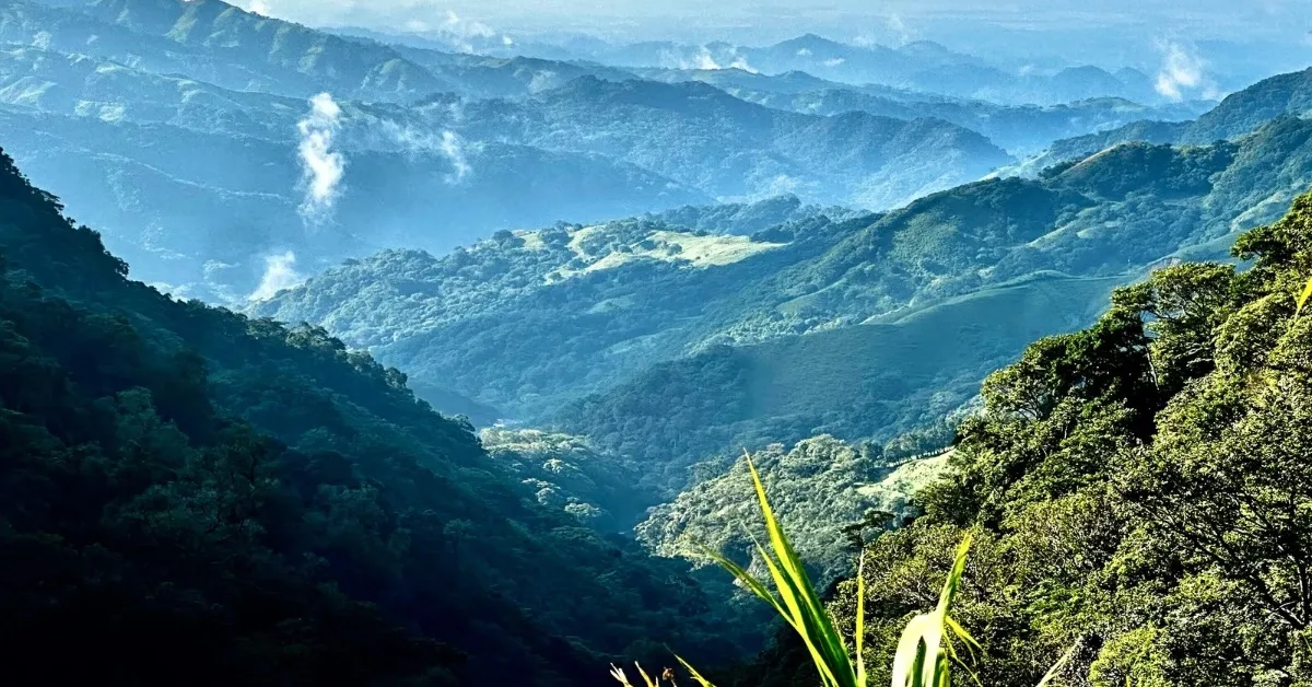 View of Monteverde Costa Rica mountains covered in thick foliage and forests.