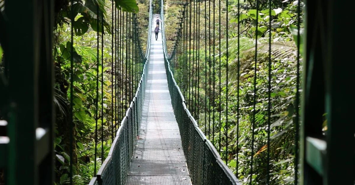 Hanging Bridge over dense forests of Costa Rica.