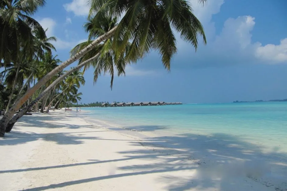 A typical white sand beach with palm trees lining in on a Maldives island.