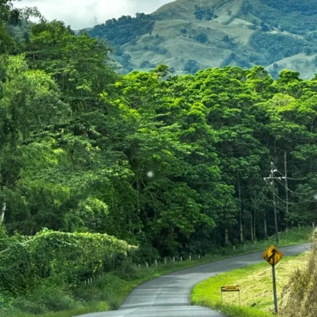 Road Signs are Advising drivers to expect a sharp turn on a mountain road in Costa Rica.