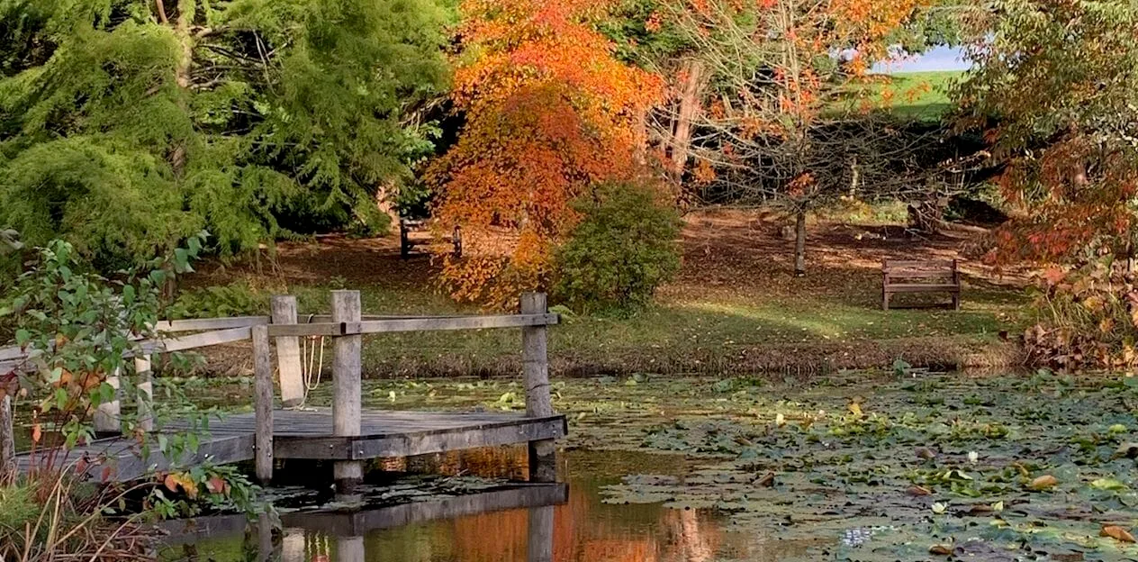 3 Days New Forest Itinerary : The Best of Hampshire & Isle of Wight.