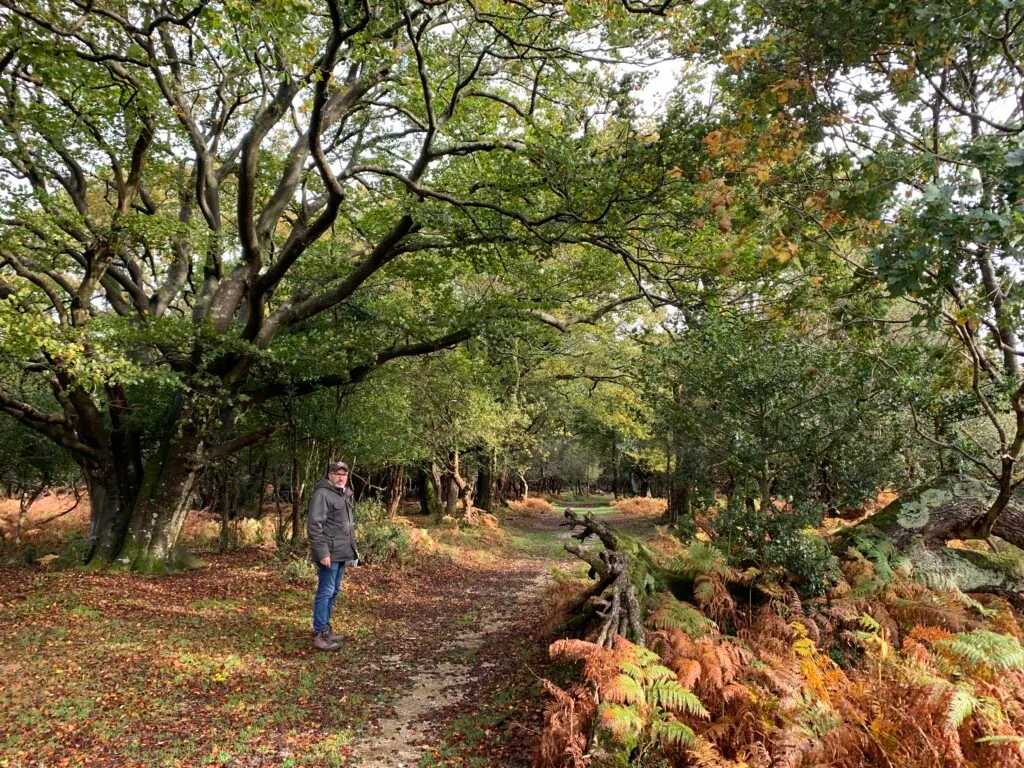 A man is walking through a forested area in fall with leaves decorating the path orange, yellow and brown.