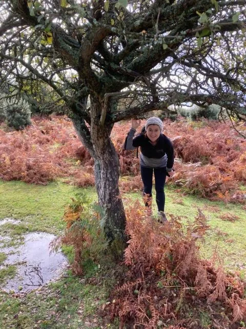A woman is peaking between branches of a tree. She is surrounded by smaller bushes which have turned red and orange as fall approaches.