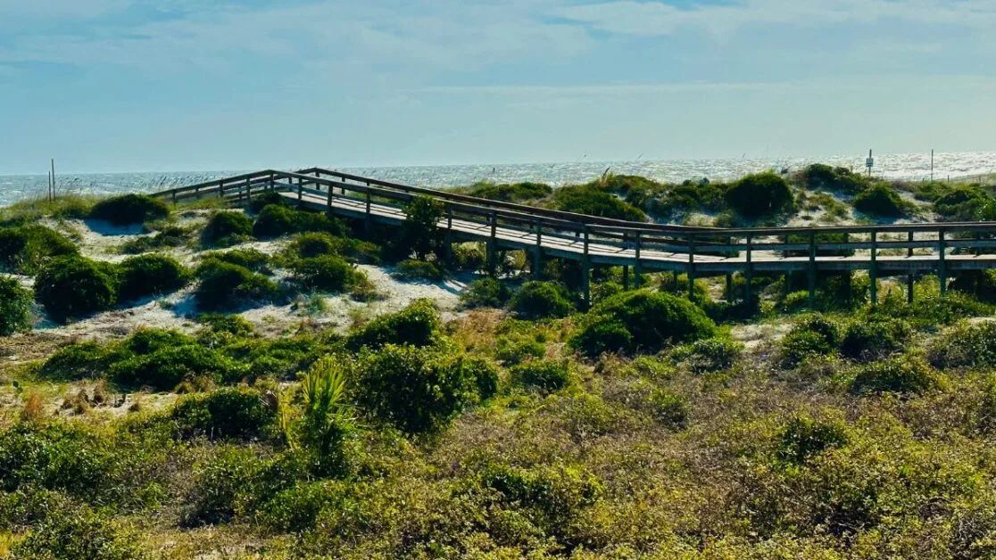 Boardwalk to Beach