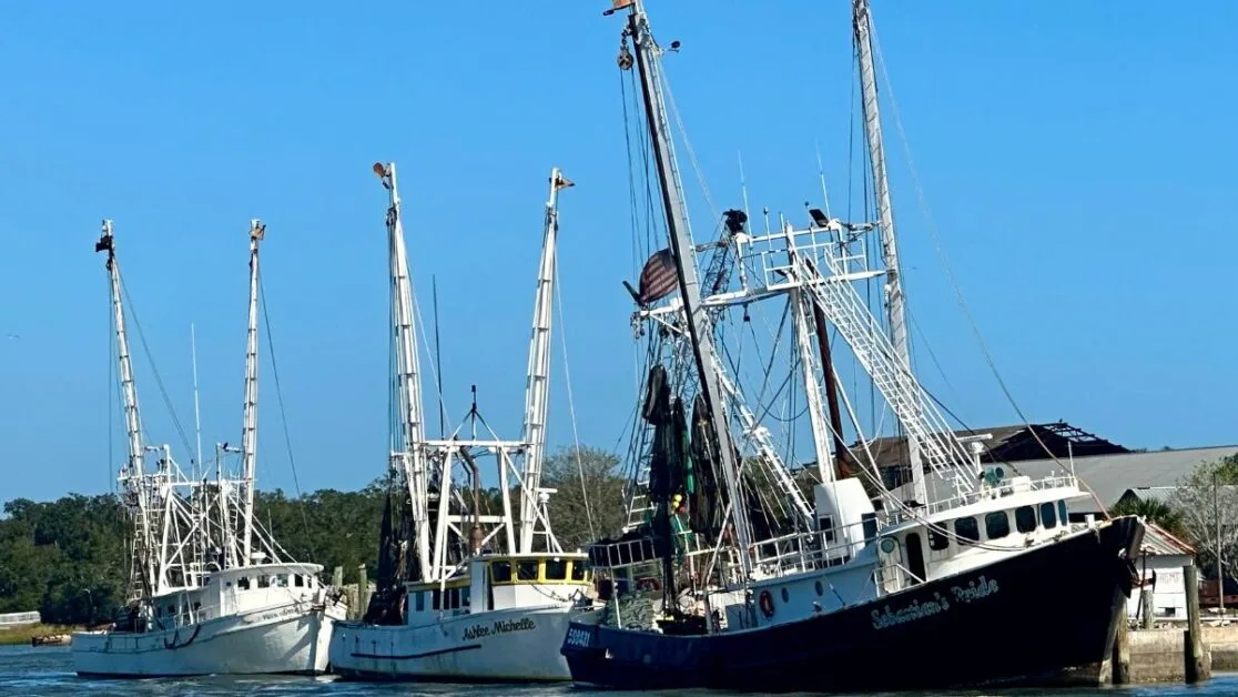 3 shrimp boats tied up at harbour on Amelia Island Florida