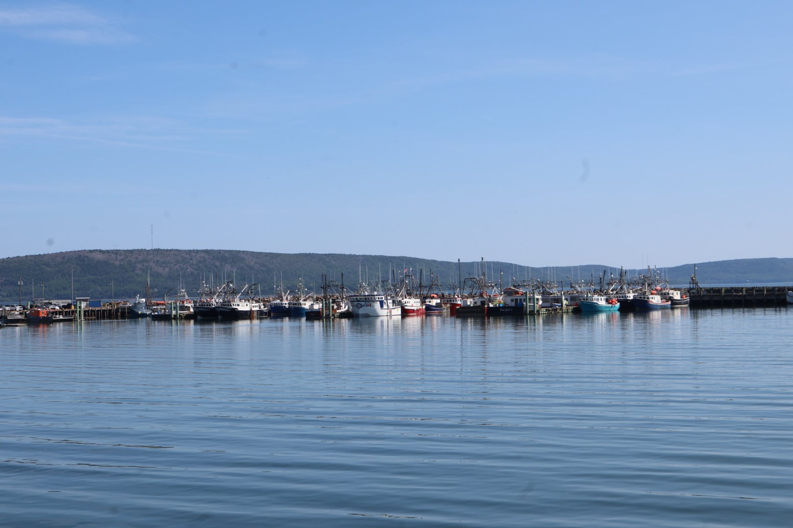 Working fishing harbour at Digby, Nova Scotia