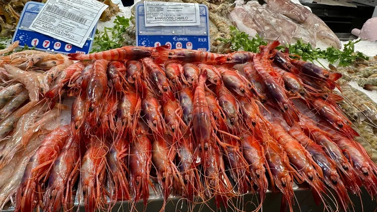 Fresh red shrimp on display at Cádiz market