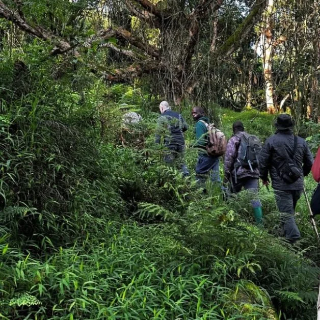 Group of people trekking .