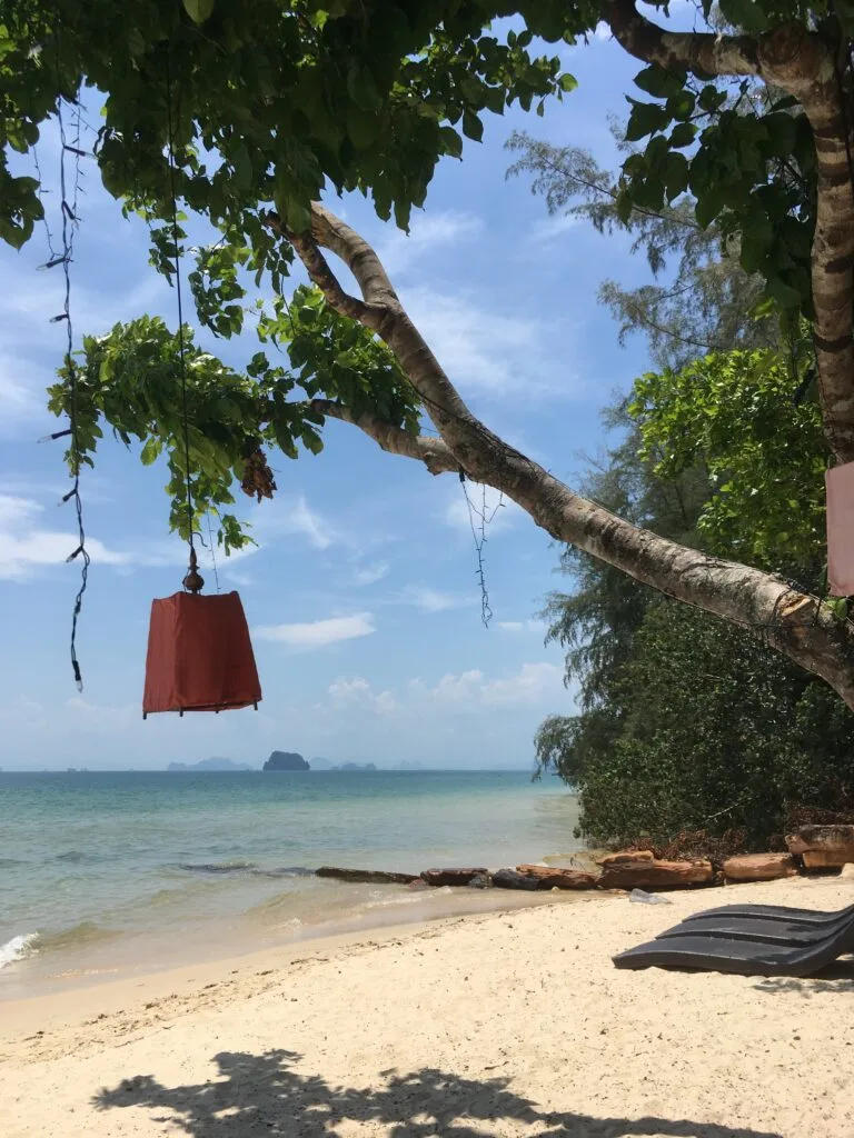 A large lantern hangs from the branch of a tree over a beach in Thailand.