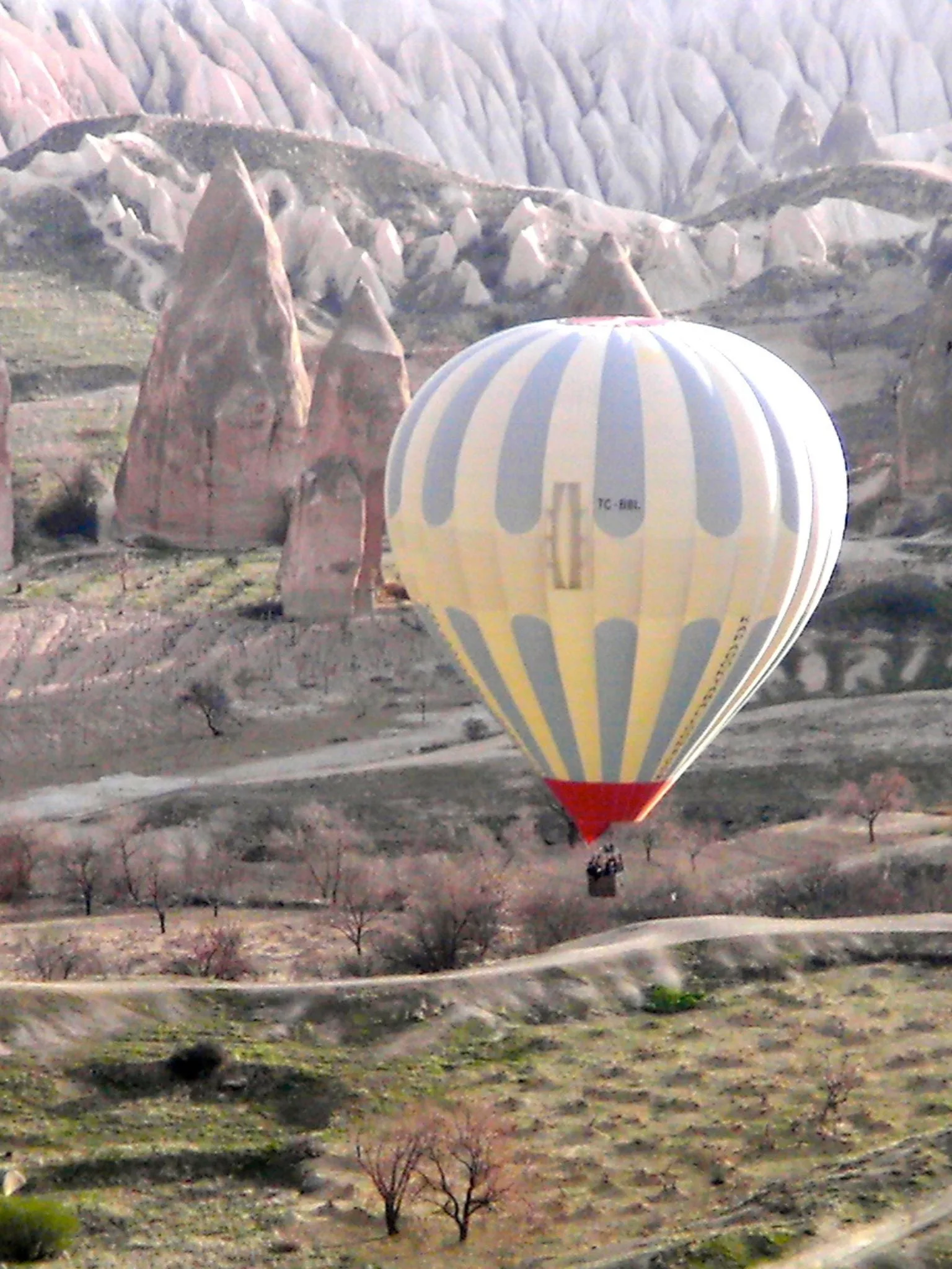 Hot air balloons over Cappadocia landscape