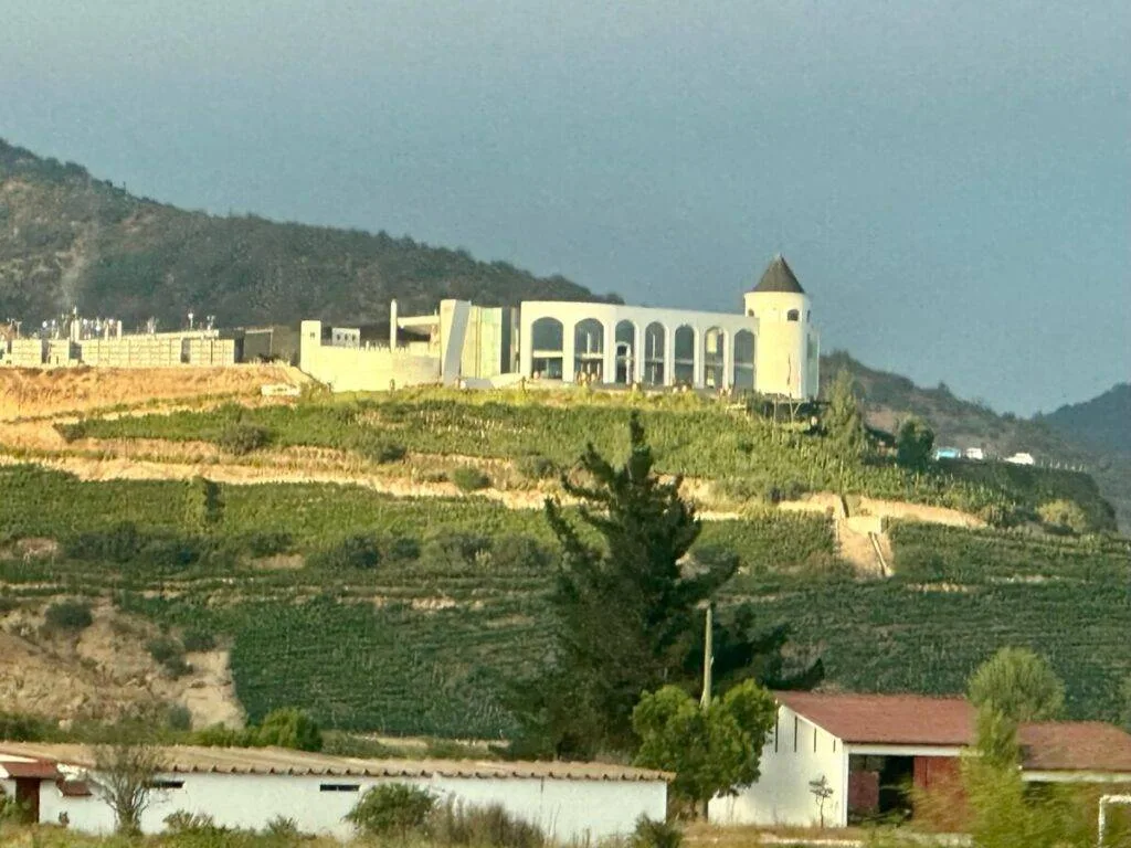 Casablanca Valley is west of Santiago Chile and is a very fertile area where much of the country's fruits and vegetables are grown. Wine growing is a big business here and this image shows a vineyard on a hill.