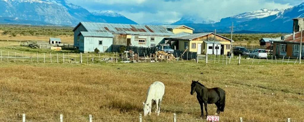 Two horses graze in a field in front of an old farm house. Behind the farmhouse are snow peaked mountains of Southern Patagonia, thousands of feet in altitude.