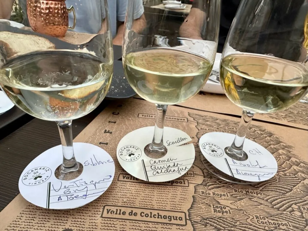 Chilean Wine tasting in Santiago with 3 different glasses of wine labeled.